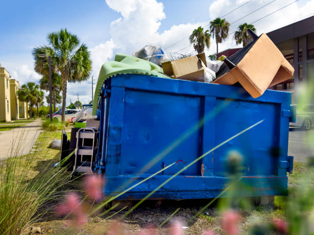 Best Hoarding Cleanup  in Lmar, DE